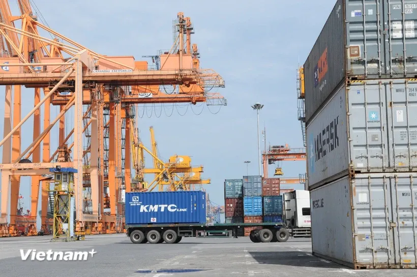 Năm 2024, kim ngạch thương mại hai chiều giữa Việt Nam với thị trường CPTPP ước đạt 102,1 tỷ USD. Ảnh: Đức Duy/TTXVN.