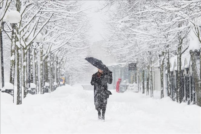 Bão tuyết gây ra tại nạn giao thông liên hoàn tại Thuỵ Điển