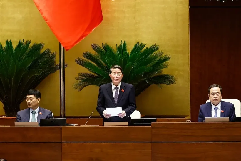 Phó Chủ tịch Quốc hội Nguyễn Đức Hải phát biểu. Ảnh: Doãn Tấn/TTXVN