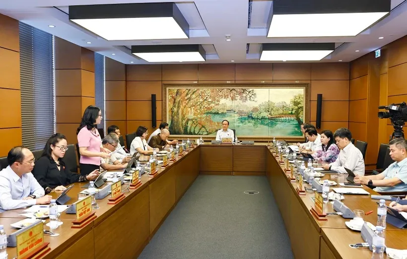 Các đại biểu Quốc hội đoàn Hà Nội thảo luận ở tổ về việc sắp xếp đơn vị hành chính và Dự thảo Nghị quyết của Quốc hội về Trung tâm tài chính quốc tế tại Việt Nam. Ảnh: TTXVN.