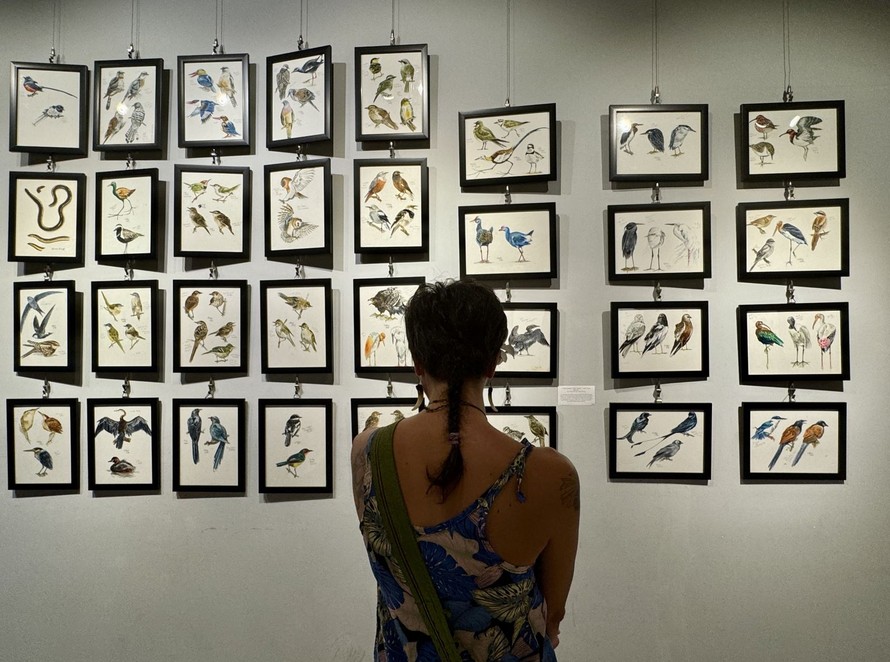 Đông đảo công chúng trong và ngoài nước quan tâm đến nghệ thuật hội họa và công tác bảo tồn thiên nhiên hoang dã tại triển lãm.