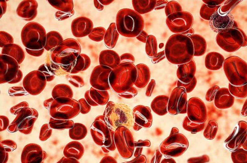 Đột phá: AI phát hiện hàng trăm dấu ấn ung thư "vô hình"