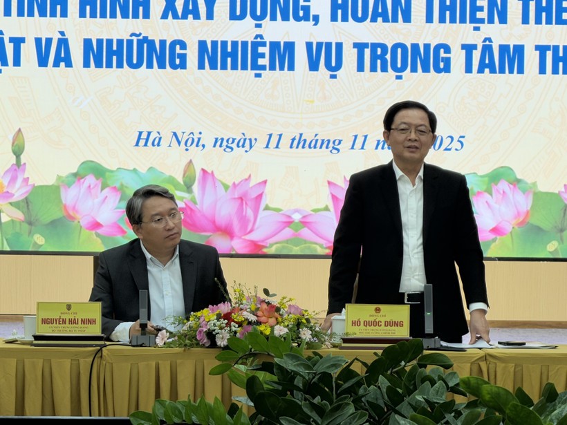 Phó Thủ tướng Chính phủ Hồ Quốc Dũng phát biểu tại buổi làm việc.