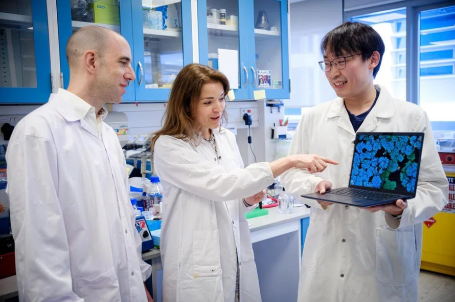 Phó Giáo sư NTU Guillaume Thibault (trái), Giáo sư Kimberly Kline (giữa) và nghiên cứu viên Aaron Tan. Ảnh: NTU.