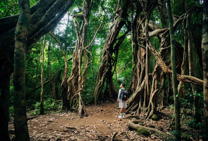 Tour du lịch mạo hiểm sẽ cần đảm bảo tuân thủ bộ tiêu chuẩn quốc gia.