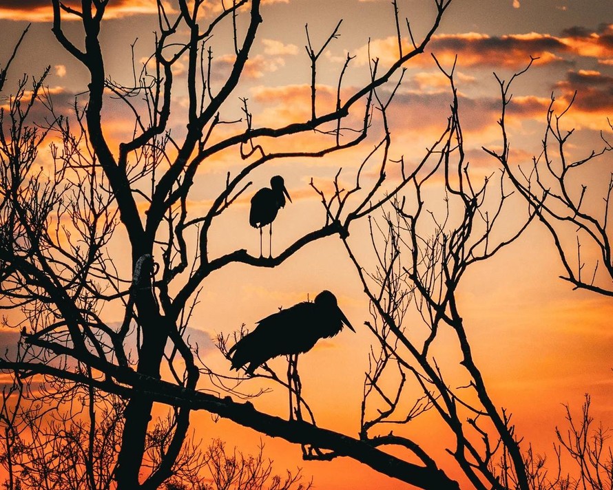 Động vật chung sống cùng người dân tại khu bảo tồn thuộc UNESCO