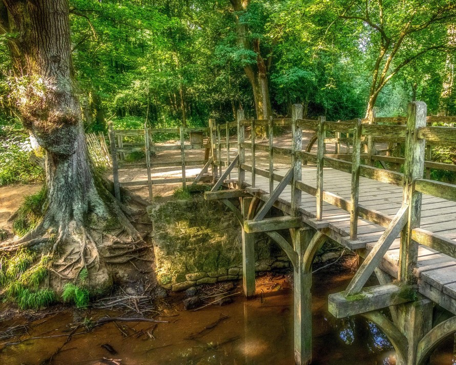 Cầu Posingford tại rừng Ashdown, Đông Sussex (Anh).