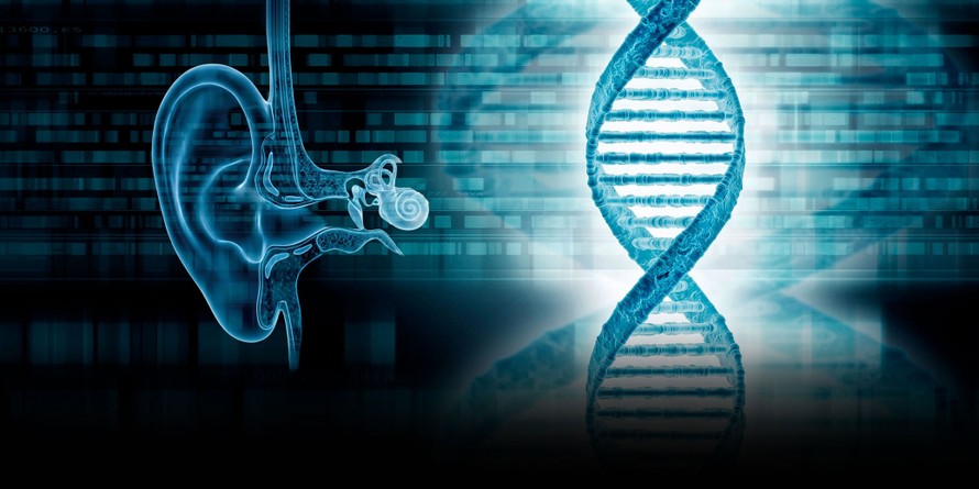 Bước tiến lịch sử trong điều trị điếc bẩm sinh