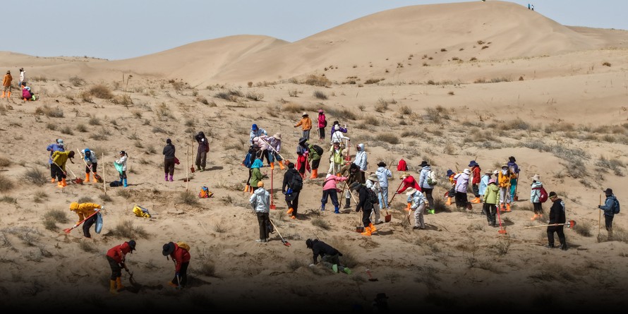 Hành trình ươm triệu mầm xanh giữa vùng sa mạc khô cằn