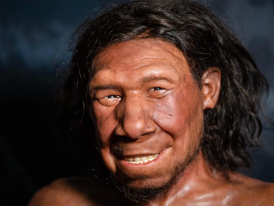 Người Neanderthal đã biết dùng khoan đá chữa sâu răng từ 59.000 năm trước