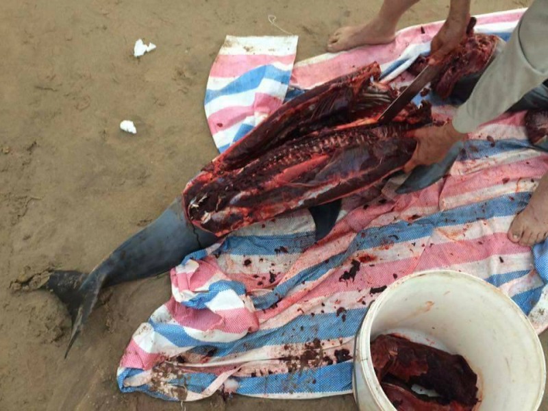 Trên facebook chia sẻ hình ảnh người dân xẻ thịt cá heo