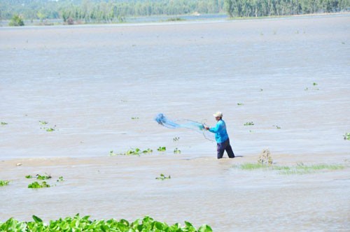 Lũ ở ĐBSCL dự kiến đạt đỉnh vào nửa đầu tháng 10.