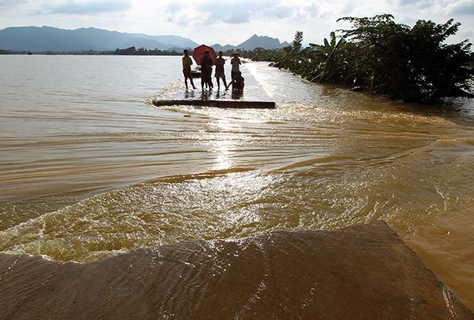 Vỡ đê bao, hàng trăm héc ta cây ăn trái chìm trong nước