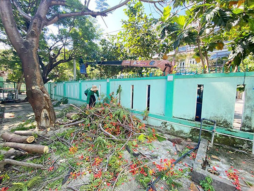 Đà Nẵng: Hiệu trưởng chịu trách nhiệm nếu không đảm bảo an toàn trường học