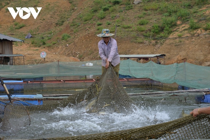 Chương trình OCOP tỉnh Sơn La được triển khai đã nhận được sự hưởng ứng, tích cực tham gia của nhân dân, doanh nghiệp và hợp tác xã.