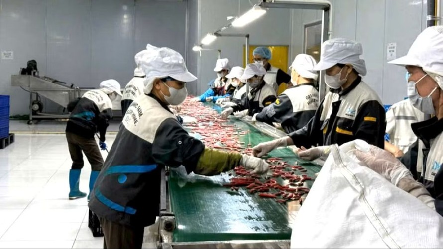 Nông nghiệp vẫn là "trụ đỡ" của nền kinh tế.