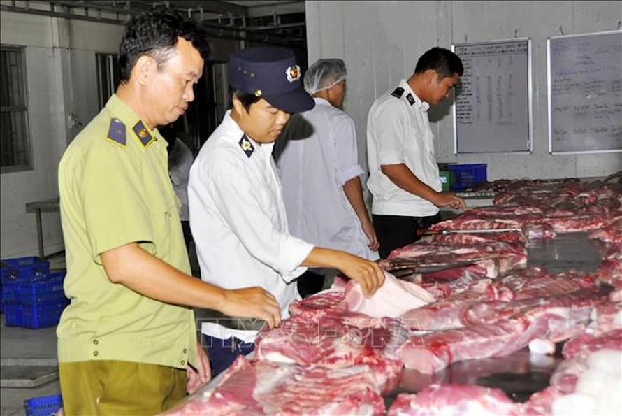 Lực lượng chức năng Hà Nội kiểm tra thịt lợn lưu thông ngoài thị trường. 