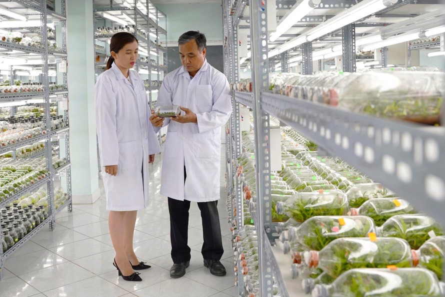 Hoạt động nghiên cứu, ứng dụng công nghệ tại Khu Nông nghiệp công nghệ cao TP Hồ Chí Minh gắn với nhu cầu thực tiễn của sản xuất.
