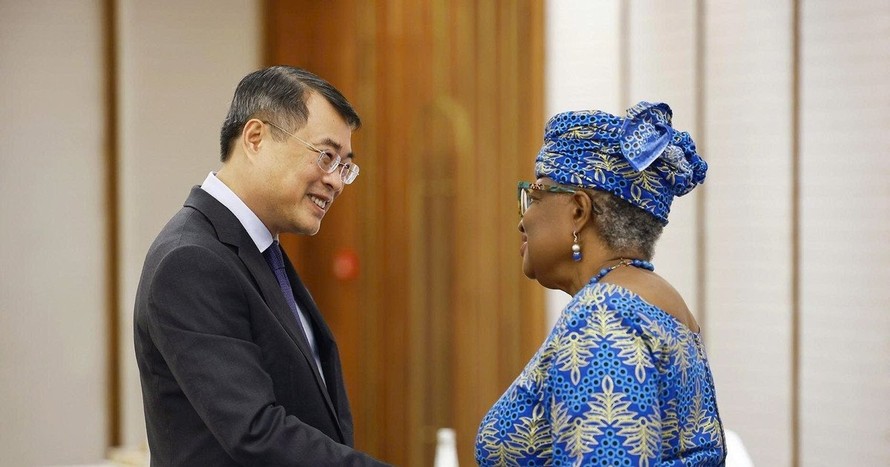 Thủ tướng Chính phủ Lê Minh Hưng tiếp Tổng Giám đốc WTO