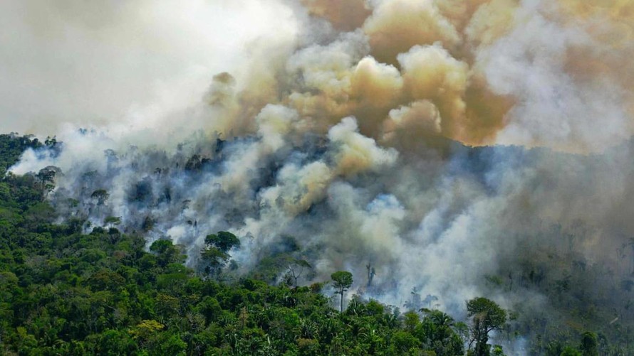 Khu vực rừng Amazon tại Brazil phát thải nhiều hơn so với hấp thụ khí CO2