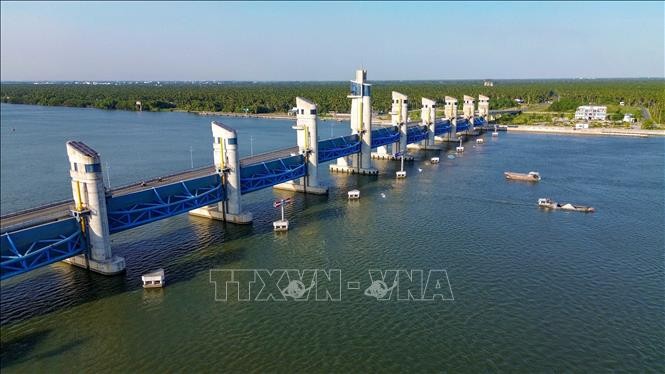 Xâm nhập mặn ở các sông Vàm Cỏ, Cái Lớn và Cái Bé duy trì ở mức cao