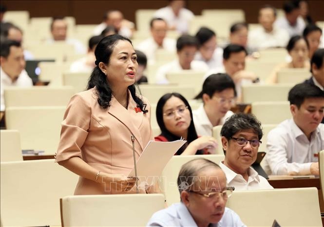 Đại biểu Quốc hội tỉnh Bạc Liêu Trần Thị Hoa Ry phát biểu. Ảnh: An Đăng/TTXVN