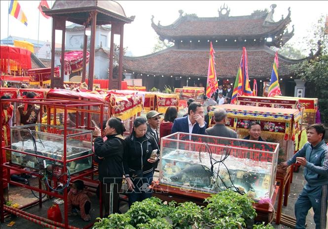 Tế cá trắm sống: Điểm nhấn tâm linh tại lễ hội đền Gin