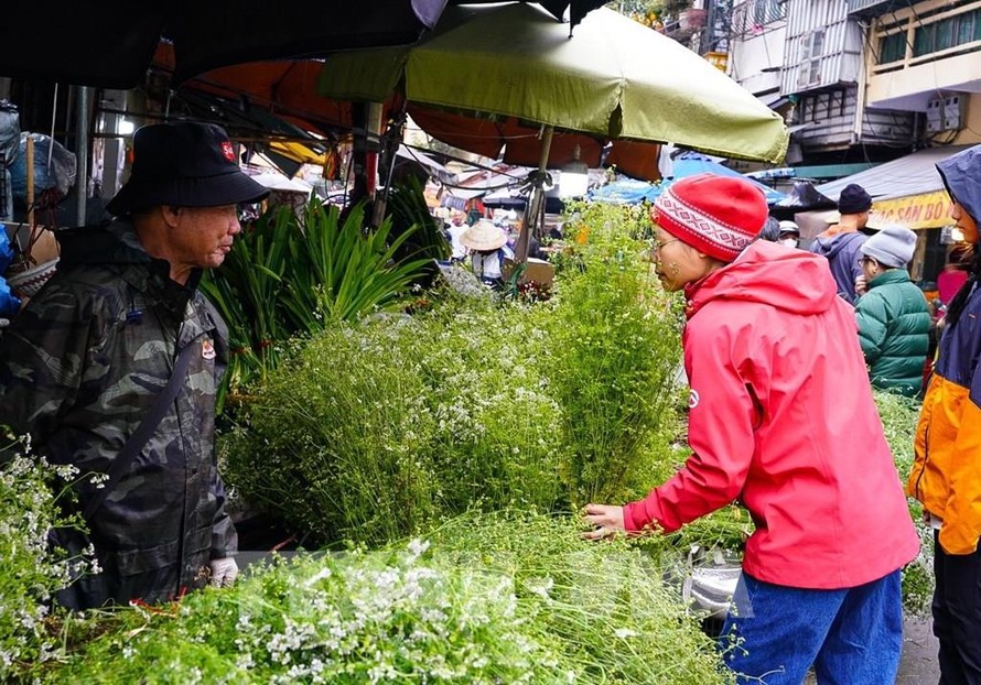 Tranh thủ hít hà hương thơm của mùi già trước khi mua về tắm tất niên theo phong tục. Ảnh: Khánh Hoà - TTXVN