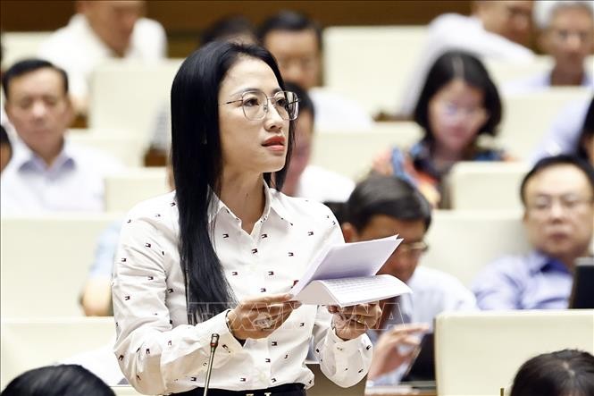 Đại biểu Quốc hội tỉnh Thái Bình Trần Khánh Thu. Ảnh: Doãn Tấn/TTXVN