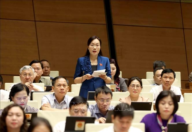 Đại biểu Quốc hội tỉnh Bắc Giang Đỗ Thị Việt Hà phát biểu. Ảnh: Phương Hoa/TTXVN