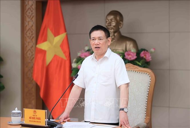 Phó Thủ tướng Hồ Đức Phớc phát biểu. Ảnh: An Đăng/TTXVN