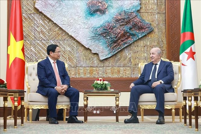 Thủ tướng Phạm Minh Chính hội kiến Tổng thống Algeria Abdelmadjid Tebboune. Ảnh: Dương Giang/TTXVN