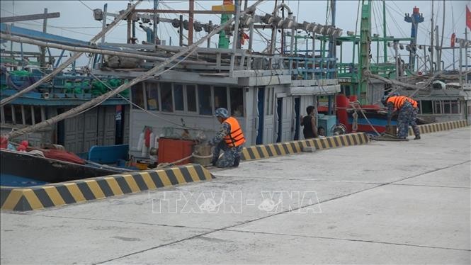 Cấm biển để ứng phó với bão số 15