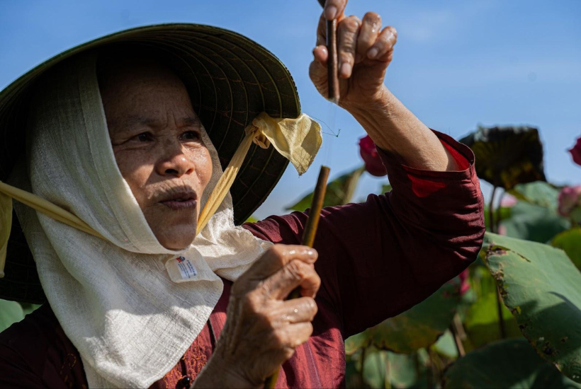 Từ những buổi đi qua cánh đồng sen của làng, bà Thuận dần suy nghĩ và nghiên cứu cách lấy sợi và làm lụa từ tơ sen 