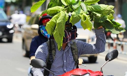 Miền Bắc mưa rải rác, Nam Bộ nắng mạnh