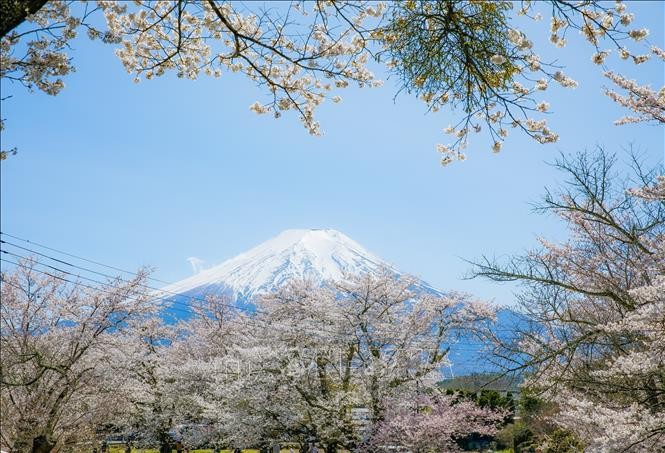 Góc nhìn núi Phú Sĩ hùng vĩ tuyệt đẹp từ Oshino Hakkai là một điểm nhấn của ngôi làng cổ. 
