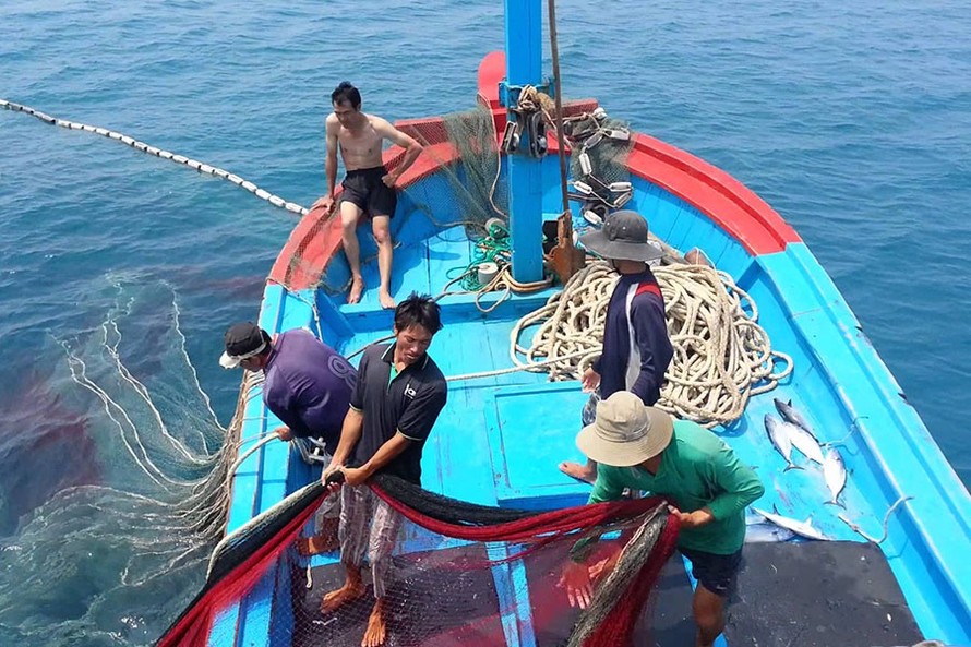 Minh bạch dữ liệu trong khai thác hải sản