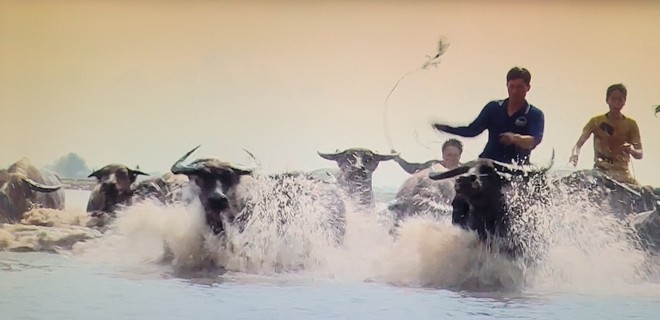 Cảnh trong phim Mùa Len trâu