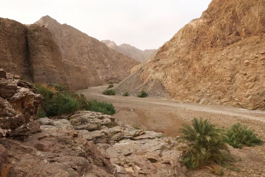 UNESCO đã ghi danh Khu bảo tồn Wadi Wurayah thuộc dãy núi Hajar ở Tiểu vương quốc Fujairah (UAE) vào “bảng vàng” thế giới. Ảnh: thenationalnews.com
