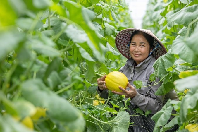Nâng cao năng lực kinh doanh trực tuyến qua chương trình “Tăng trưởng doanh nghiệp của tôi”