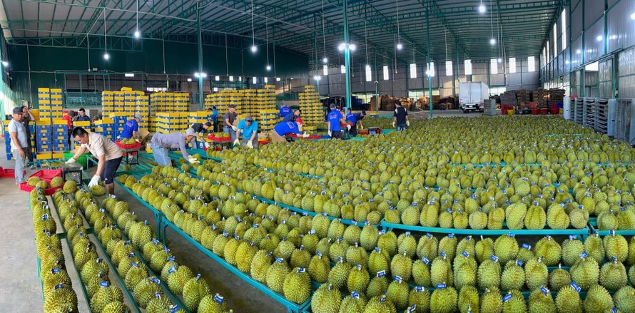 Từ lợi thế đến giá trị và thương hiệu của nông sản Việt