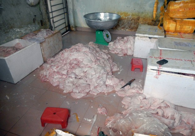 Vú heo đươc sơ chế trên nền nhà dơ bẩn, bốc mùi hôi thối. Ảnh: A.X