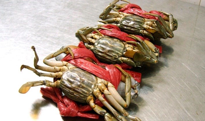 Trung Quốc giảm mua, cua biển Cà Mau lại rớt giá