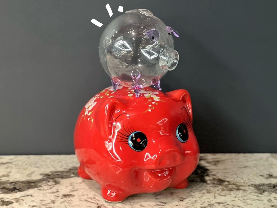 Giới trẻ Việt đua nhau nuôi heo đất và heo mini tích vàng 