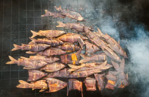 Đánh bắt cá trong sa mạc: Khai phá tiềm năng của hồ Turkana