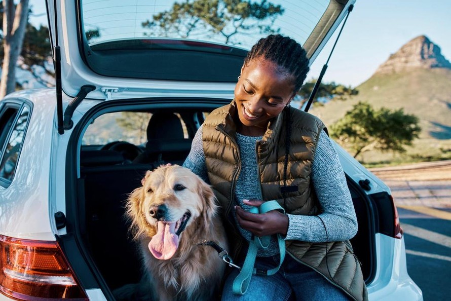 Tác động của thú cưng đến diện mạo ngành du lịch