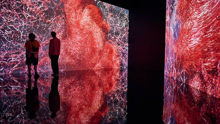 Triển lãm "Flesh and Bones: The Art Of Anatomy". Ảnh: Time Out.