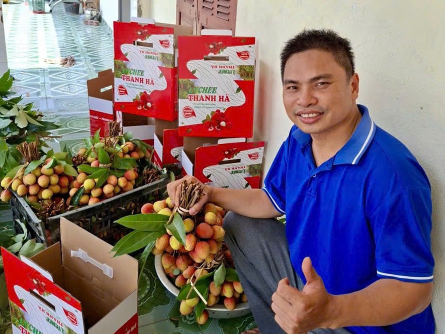 Vải thiều của vườn anh Sanh được đóng gói trong bao bì được thiết kế riêng (Ảnh nhân vật cung cấp)