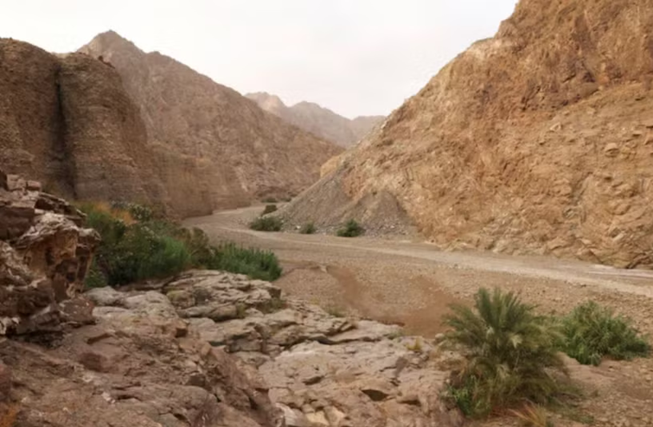 UNESCO đã ghi danh Khu bảo tồn Wadi Wurayah thuộc dãy núi Hajar ở Tiểu vương quốc Fujairah (UAE) vào “bảng vàng” thế giới. (Ảnh: thenationalnews.com)
