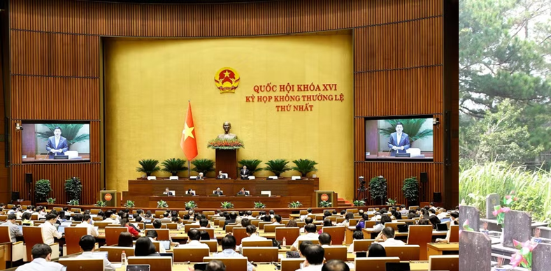 Quang cảnh phiên họp sáng 13/8.